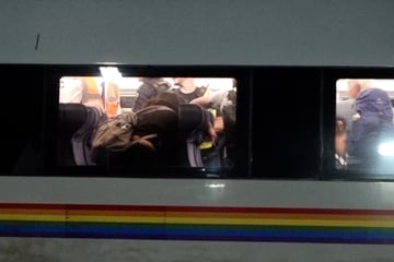 Bei Tempo 200: ICE-Tür öffnet sich plötzlich - Nothalt in Tunnel