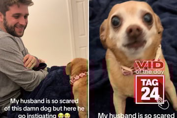 Viral Video of the Day for February 15, 2026: Playful pup gives his dad a surprise chomp!