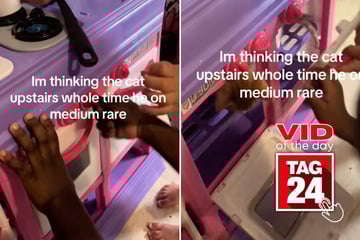 Viral Video of the Day for June 13, 2025: Kids play chef and mom finds family cat in unusual place!