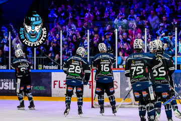 Transfers, Abgänge und Lizenz: Der aktuelle Stand bei den IceFighters