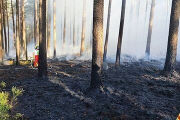 2,5 Hektar Wald in Flammen: Großeinsatz dauert stundenlang
