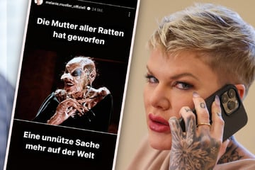 "Mutter aller Ratten": Teilt Melanie Müller hier fies gegen das Babyglück ihres Ex aus?