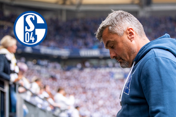 Trainerbeben auf Schalke: War das der Grund für Reis' Entlassung?