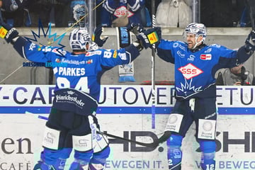 Erst Vaterfreuden, dann Abflug! Nächster Eislöwe verlässt Dresden