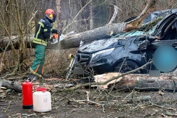 Sturmtief in Leipzig: Baum stürzt auf parkendes Auto samt Fahrer