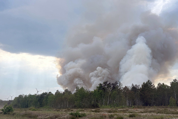 Waldbrandgefahr! In diesem sächsischen Landkreis gilt die höchste Warnstufe