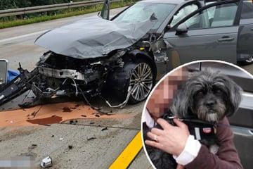 Unfall A4: Audi und Jeep krachen auf A4 zusammen, Feuerwehr sucht entlaufenen Hund
