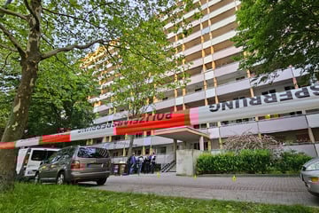 Mehrere Menschen bei Attacke in Halle verletzt: Täter wieder auf freiem Fuß