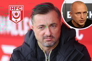 Chef-Entscheidung beim Halleschen FC! Neuer Klub-Entwickler kommt
