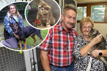 Dresden: Tierheim-Bewohner haben neue Besitzer gefunden
