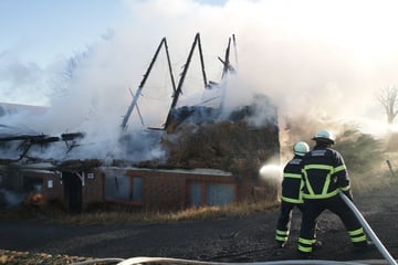 Hamburg: Brand vernichtet Reetdachhaus: Feuerwehrmann verletzt