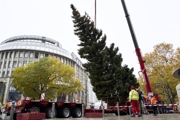 Berlin: Dieses Jahr pannenfrei: Weihnachtsbaum an Gedächtniskirche steht