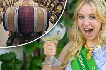 Mit etwas Fachwissen schmeckt's noch mal so gut: Sachsens Wein von A bis Z