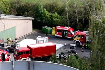 Über 100 Schweine sterben qualvoll in Mastanlage: Jetzt gibt es neue Details