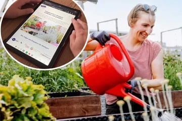 Stuttgart: Gutes tun leicht gemacht: Stuttgart startet neues Portal für Alltags-Helden