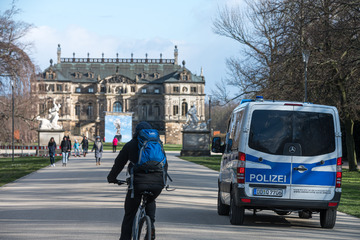 Dresden: Teenager klauen im Großen Garten: Doch mit diesen Passanten haben sie nicht gerechnet!
