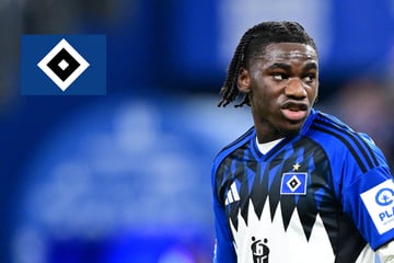 HSV-Blog: Rothosen mit fünf Wechseln gegen Hoffenheim