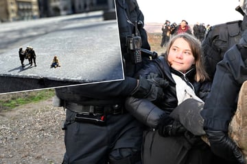 Greta Thunberg: Modellbauer erlaubt sich Scherz: Er stellt Miniatur-Klimakleber und kleine Greta Thunberg her