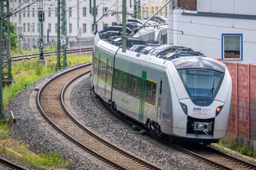 Baum in Oberleitung gestürzt: Streckensperrung zwischen Dresden und Zwickau