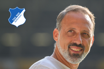Hoffenheim hat einen neuen Coach! Matarazzo beerbt Breitenreiter