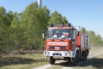 Hamburg: Waldbrandgefahr in Hamburg: Behörde schlägt Alarm