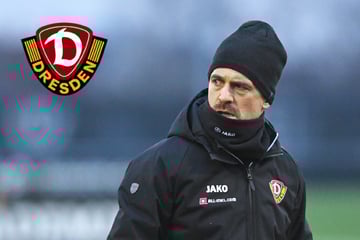 "Never change a winning Team" gegen Fortuna? Dynamos Stamm hat bisher immer gewechselt