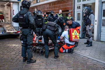 "Notruf Hafenkante"-Schauspieler nach Randale mit Eisenstange von Polizei festgenommen