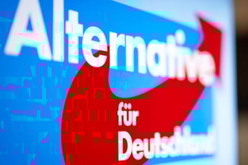 AfD-Fraktion scheitert erneut bei Landtags-Vizepräsidentenwahl