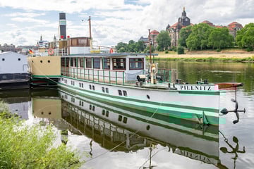 Dresden: Elbfähren nehmen Betrieb wieder auf: Wie sieht's bei Weißer Flotte aus?