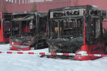 Flammen-Inferno im Süden: Drei Linienbusse brennen komplett aus - hoher Sachschaden