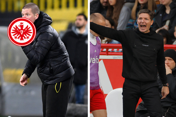 Glasner-Diskussionen bei Eintracht Frankfurt: BVB-Coach als Nachfolger?