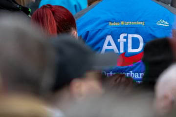 Südwest-Grüne fordern Folgen für Beamte mit AfD-Mitgliedschaft!