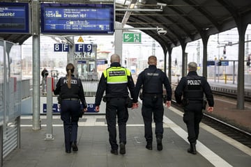 Einsatz am Hauptbahnhof Halle: Betrunkener 38-Jähriger pöbelt und verletzt Security