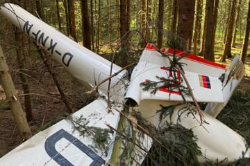 Segelflugzeuge krachen in der Luft zusammen: Pilot springt mit Fallschirm ab