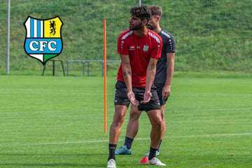 Interimscoach Hoheneder hofft auf baldige Trainer-Lösung beim CFC