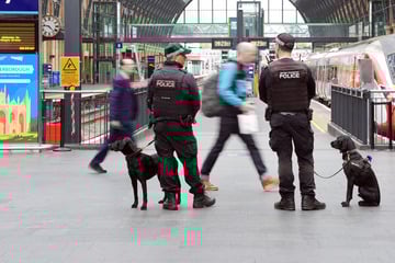 Anklage nach brutaler Attacke in Zug: Anthony W. (32) wollte wohl mehrfach morden