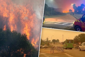 Notstand in Spanien: Waldbrände wüten - rund 60.000 Menschen evakuiert
