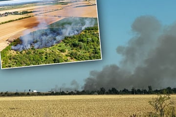 Riesige Rauchwolke an sächsischer Landesgrenze: Waldbrand unter Kontrolle