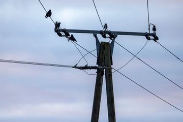 Mehrere Stromausfälle im Südwesten: Das sind die Gründe