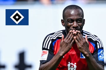 Nach Torlos-Start des HSV: Dieser Profi soll die Flaute beenden