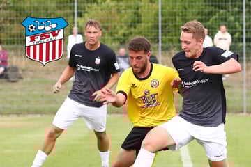 FSV bewahrt weiße Testspiel-Weste! Befund von Startsev-MRT liegt vor