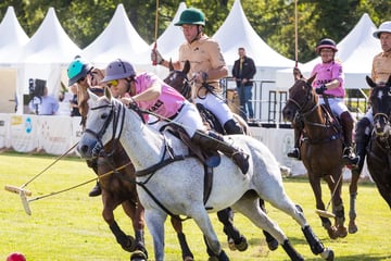 Dresden: Nächstes Polo-Turnier in Dresden ist schon in Planung