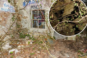 Schwerer Unfall in Ruine: Teenager will gesperrten Lost Place erkunden und stürzt durchs Dach