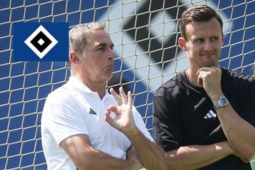 HSV-Blog: Verein verlängert mit Sportdirektor Claus Costa