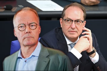 AfD-Verbotsverfahren? Uneinigkeit bei Union und SPD