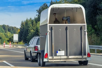 Drama auf Bundesstraße nahe Stuttgart: Pferd verletzt sich bei Fluchtversuch aus Anhänger tödlich