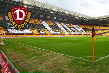 Sommerpause für Dynamo, doch das Rudolf-Harbig-Stadion hat Hochbetrieb