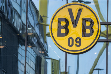 BVB gegen Bayer: Fans dürfen Stadion nach Polizeieinsatz wegen verdächtigem Auto verlassen