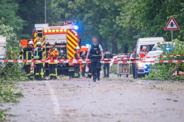 Radler von Baum erschlagen! Hunderte Unwetter-Einsätze im Südwesten