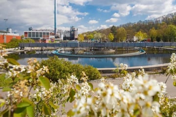 Stuttgart: Stuttgart investiert in Klimaschutz: Diese fünf neuen Projekte erhalten Fördergelder